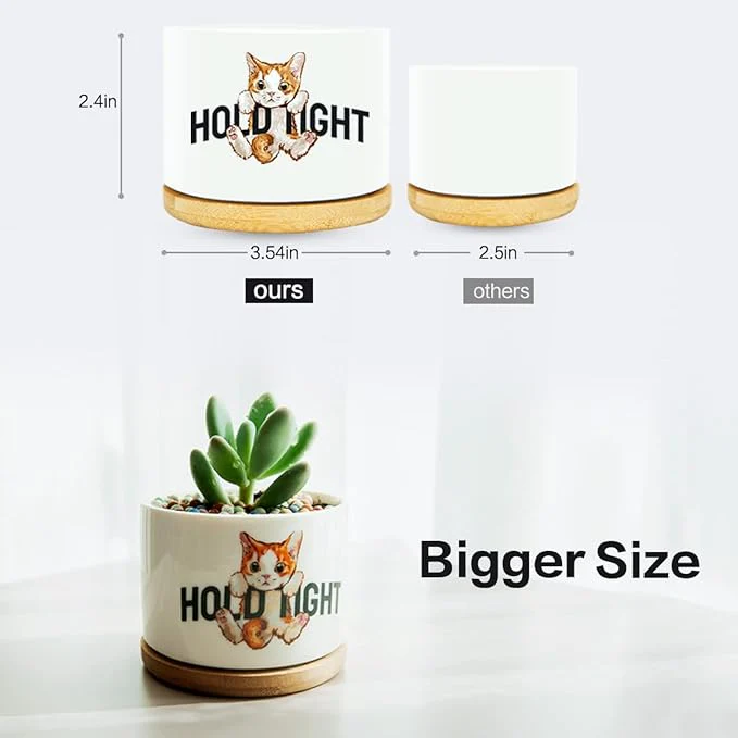 4 Pack Cute Planter Pots with Drainage Hole, Cat Plant Pots for Indoor/Outdoor Plants, Cactus and Succulents Pots Gift for Women - Image 3