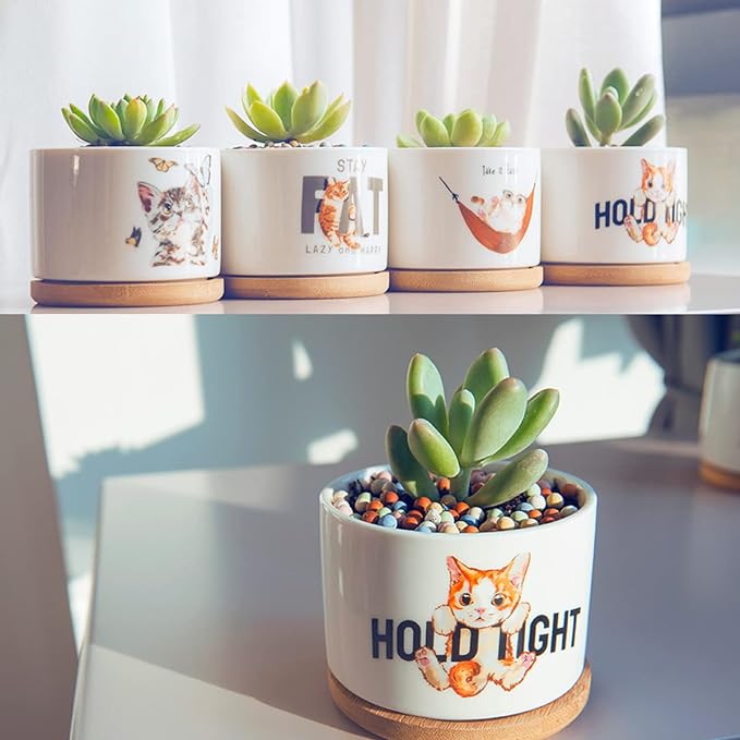 4 Pack Cute Planter Pots with Drainage Hole, Cat Plant Pots for Indoor/Outdoor Plants, Cactus and Succulents Pots Gift for Women - Image 5