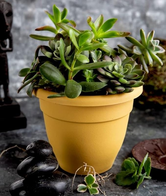 8 Inch Caribbean Planter - Lightweight Indoor Outdoor Plastic Plant Pot for Herbs and Flowers, Honey - Image 2