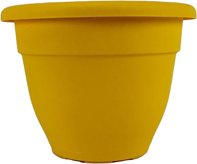 8 Inch Caribbean Planter - Lightweight Indoor Outdoor Plastic Plant Pot for Herbs and Flowers, Honey - Image 4