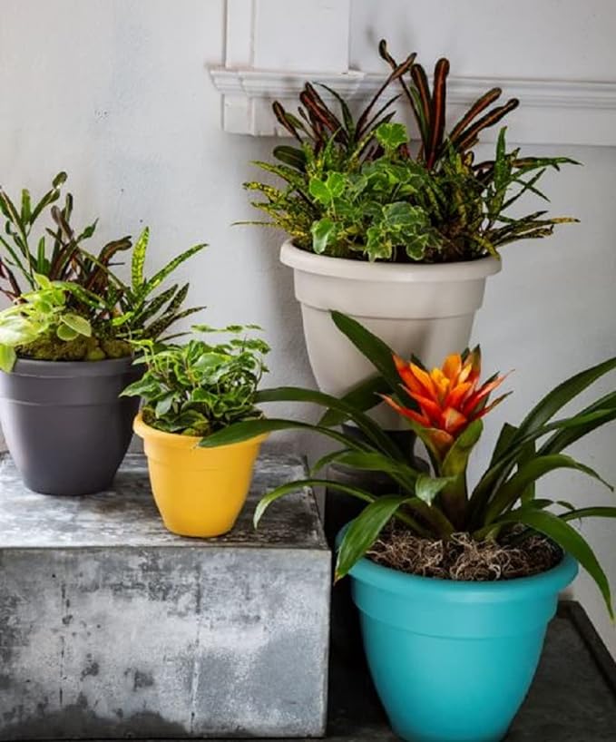 8 Inch Caribbean Planter - Lightweight Indoor Outdoor Plastic Plant Pot for Herbs and Flowers, Honey - Image 6