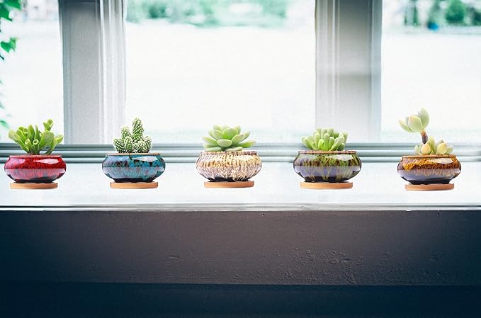 Cute Ceramic Succulent Garden Pots, Planter with Drainage and Attached Saucer, Set of 5 -Plants Not Included - Image 3