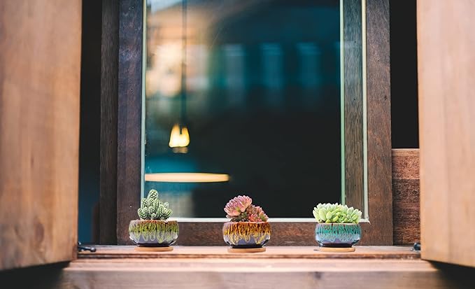 Cute Ceramic Succulent Garden Pots, Planter with Drainage and Attached Saucer, Set of 5 -Plants Not Included (Round) - Image 3