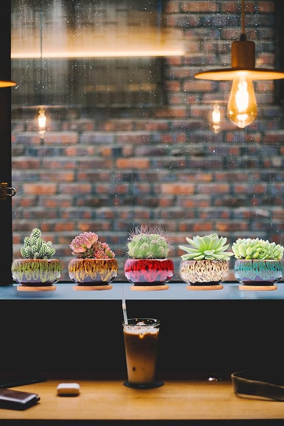 Cute Ceramic Succulent Garden Pots, Planter with Drainage and Attached Saucer, Set of 5 -Plants Not Included (Round) - Image 4