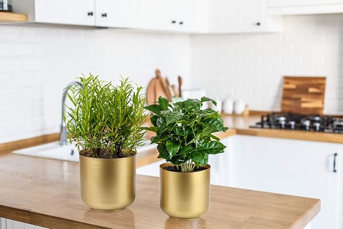 Large Gold Planters Metal Aloe Brass-Tone Plant Pots Indoor Decorative Flower Pots with Drain Holes - Image 6