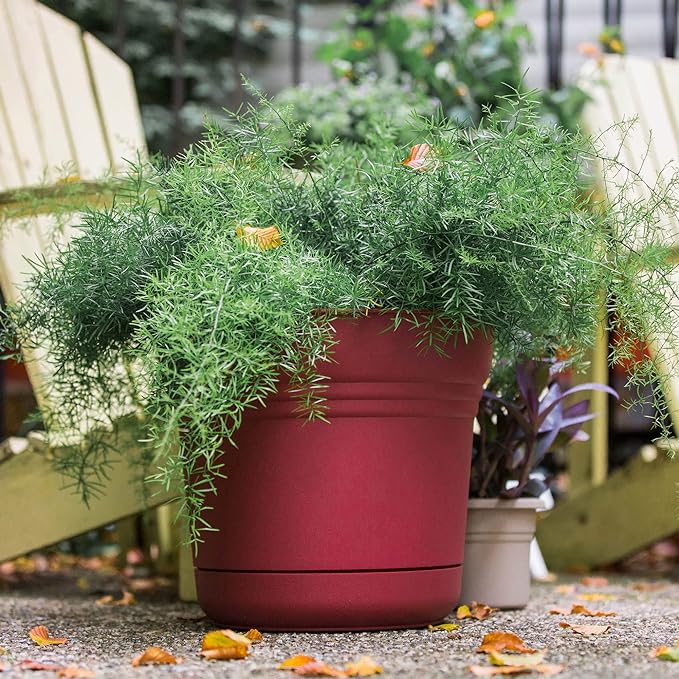 Round Planter with Saucer Durable Plastic Pot, Matte Finish, Removable Saucer, for Indoor & Outdoor Use, Gardening