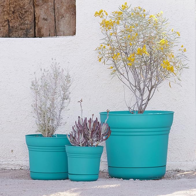 Round Planter with Saucer Durable Plastic Pot, Matte Finish, Removable Saucer, for Indoor & Outdoor Use, Gardening - Image 8